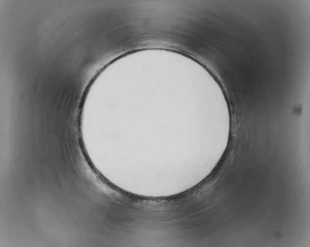 X0000111180995200908121107