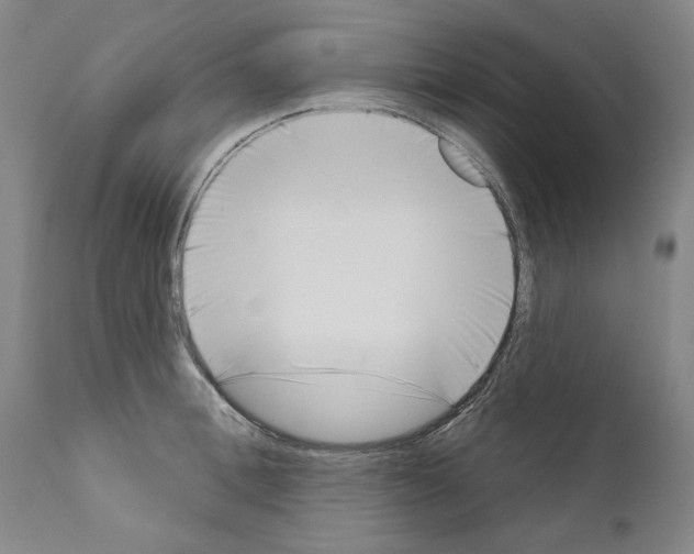 X0000111180996200908121107