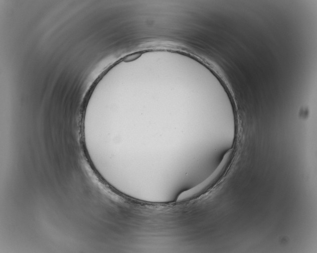 X0000111180997200908121107