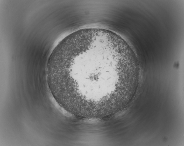 X0000111180998200908121107