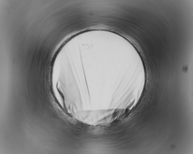 X0000111181000200908121107