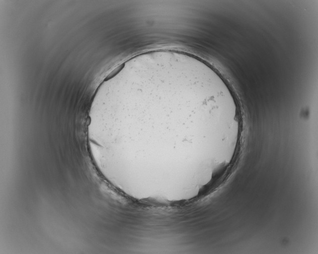 X0000111181001200908121107