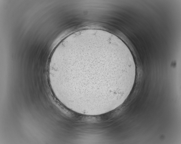 X0000111181002200908121107