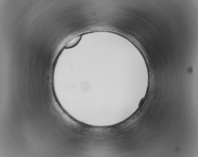 X0000111181005200908121107