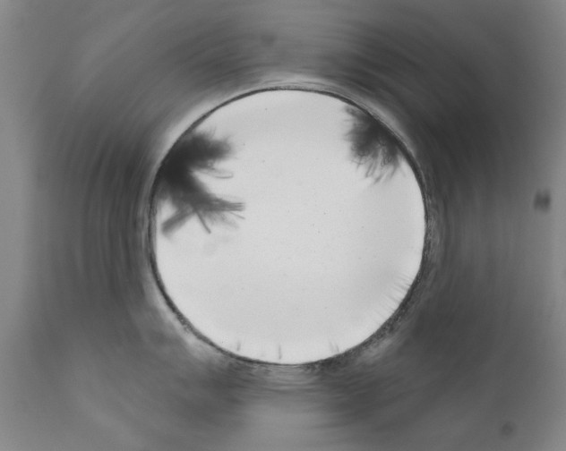 X0000111181007200908121107