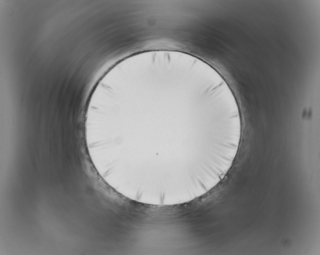 X0000111181008200908121107