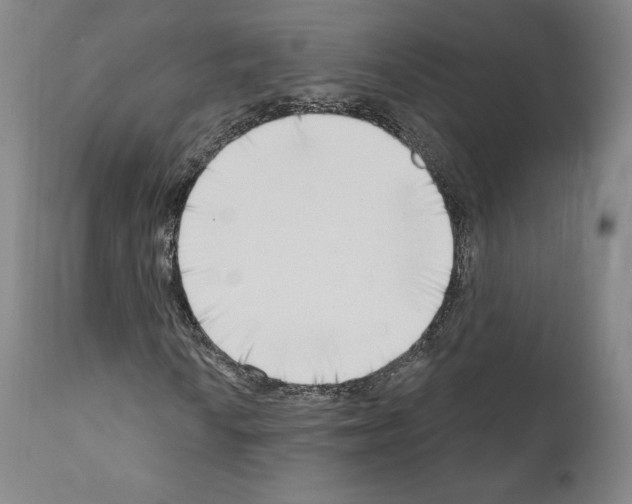 X0000111181010200908121106