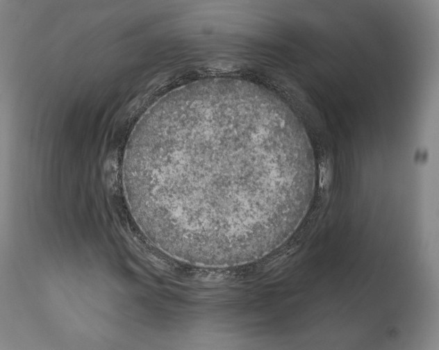 X0000111181011200908121106