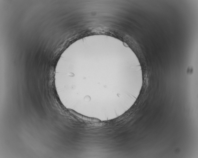 X0000111181012200908121106