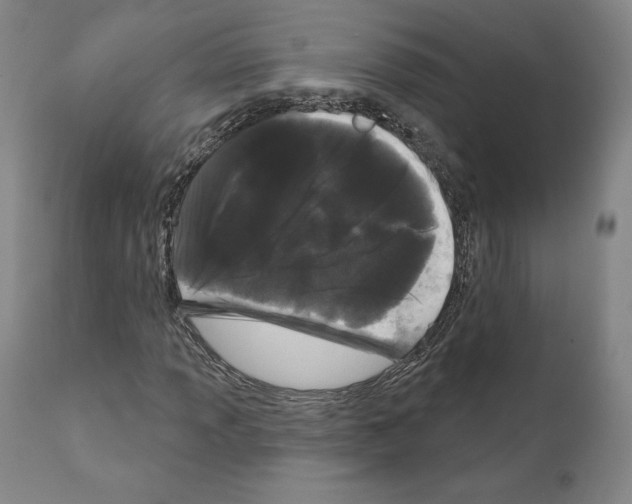 X0000111181013200908121106