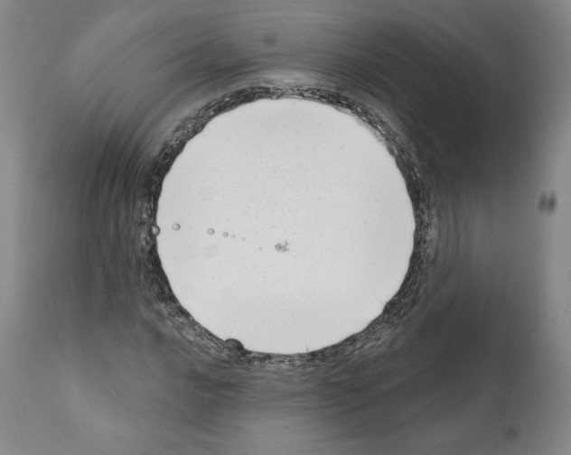 X0000111181016200908121106