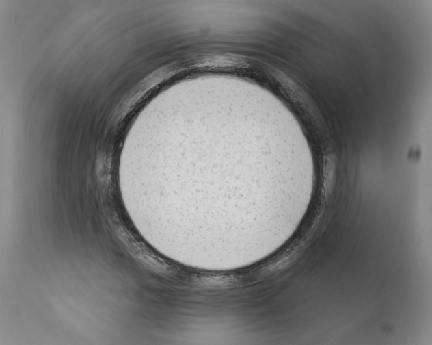 X0000111181017200908121106