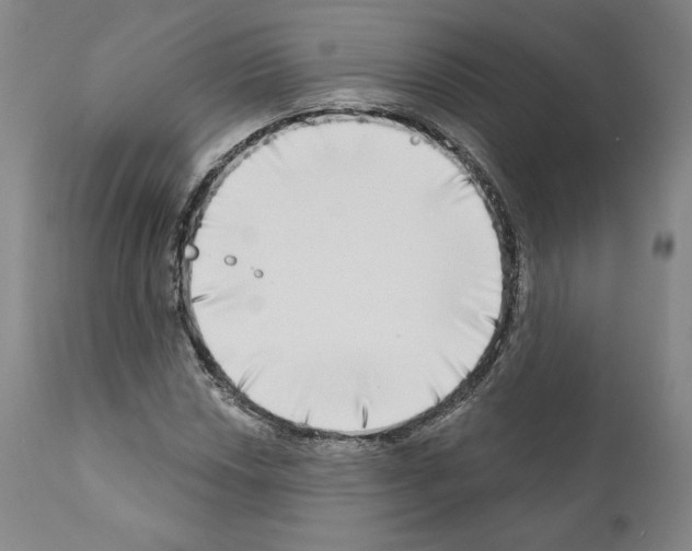 X0000111181018200908121106