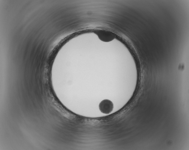 X0000111181019200908121106