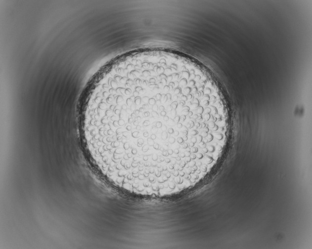 X0000111181022200908121106