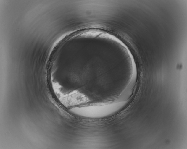 X0000111181024200908121106