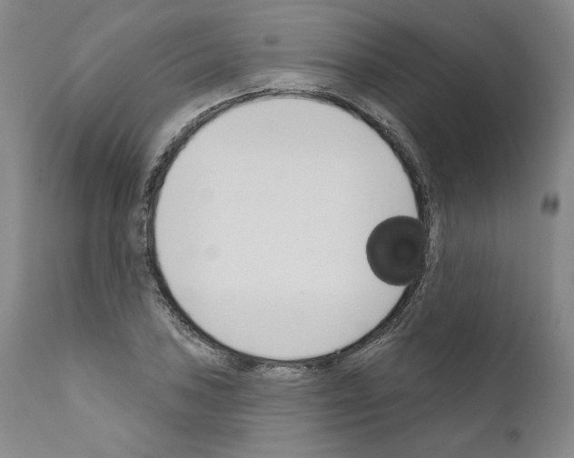 X0000111181027200908121106