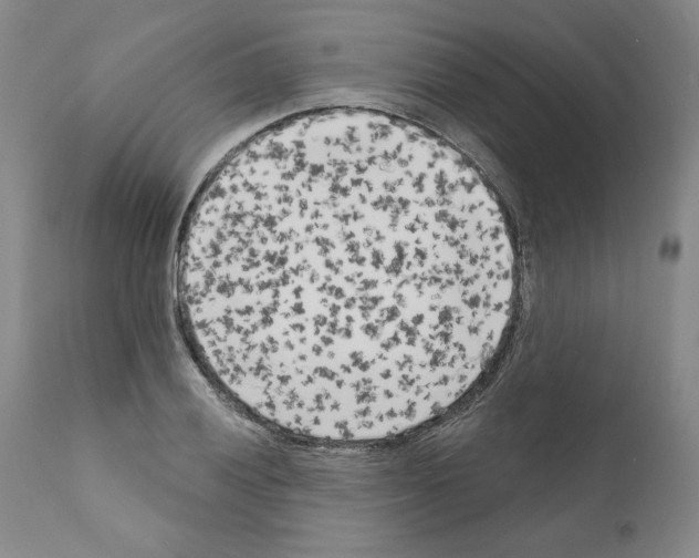 X0000111181028200908121106