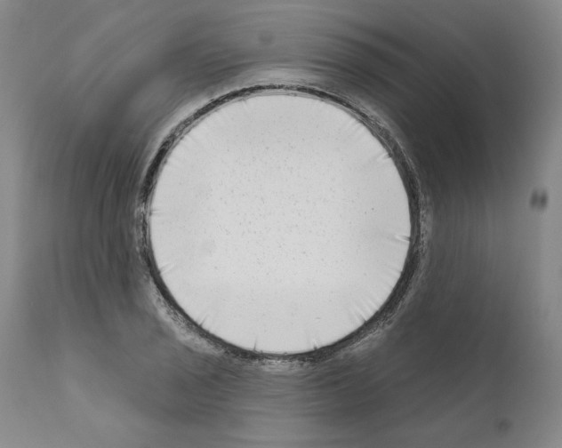 X0000111181029200908121106