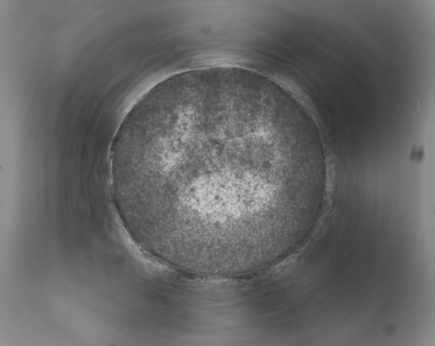 X0000111181031200908121106