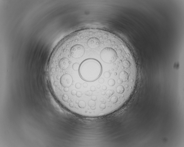 X0000111181032200908121106