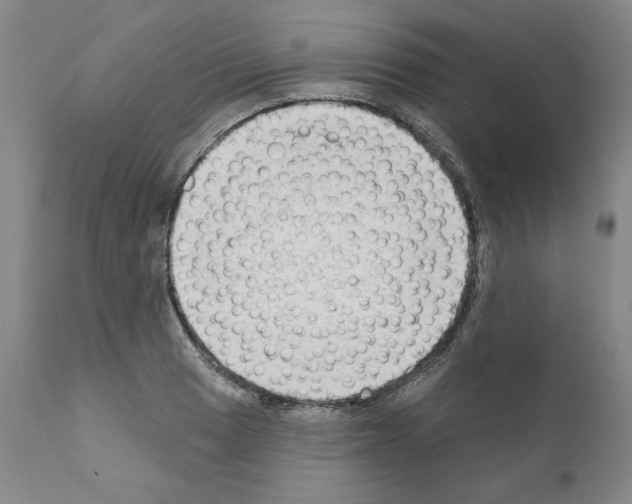 X0000111181033200908121106