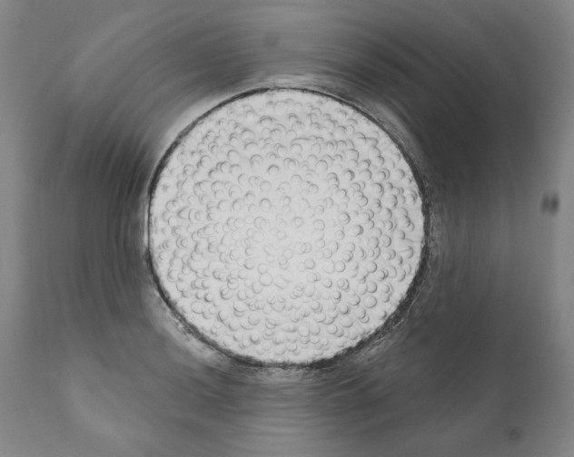 X0000111181036200908121106