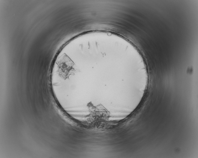 X0000111181037200908121106