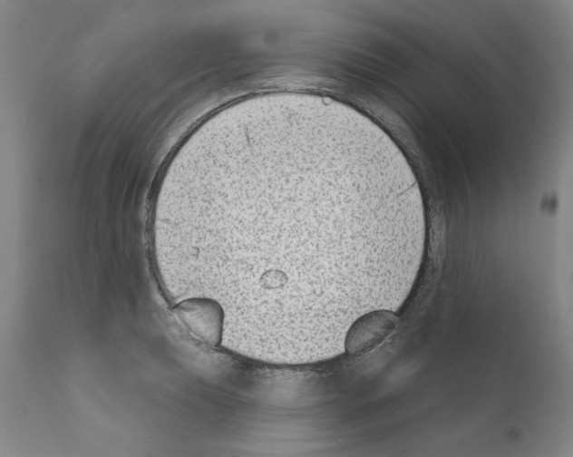 X0000111181039200908121106