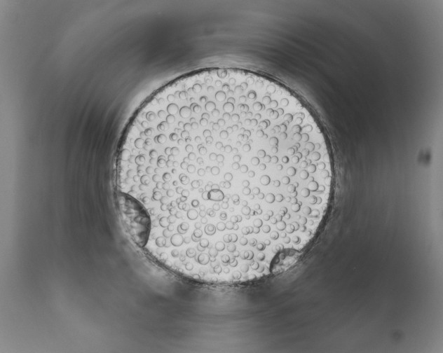 X0000111181040200908121106