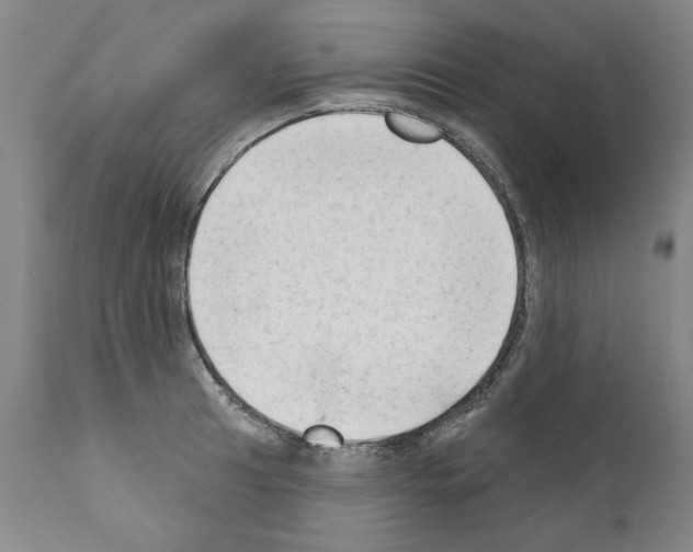 X0000111181041200908121106