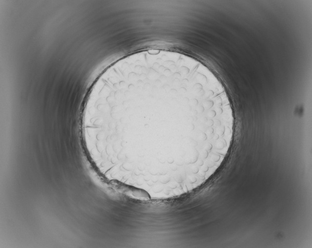 X0000111181042200908121106