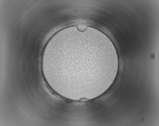 X0000111181043200908121106