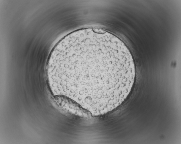 X0000111181044200908121106