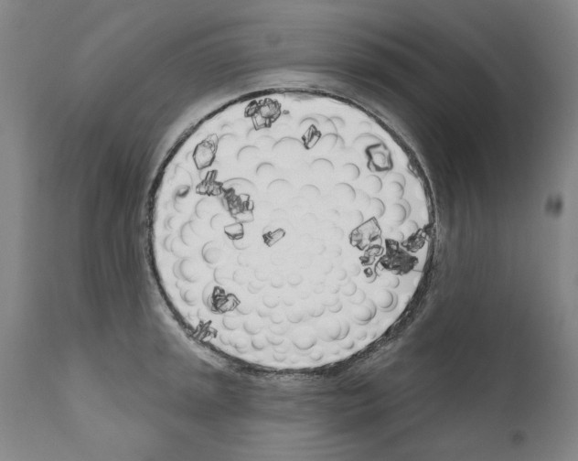 X0000111181045200908121106