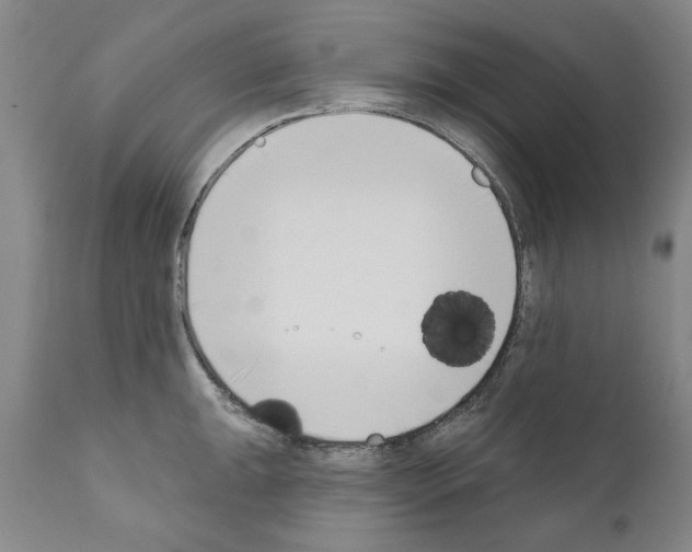 X0000111181047200908121107