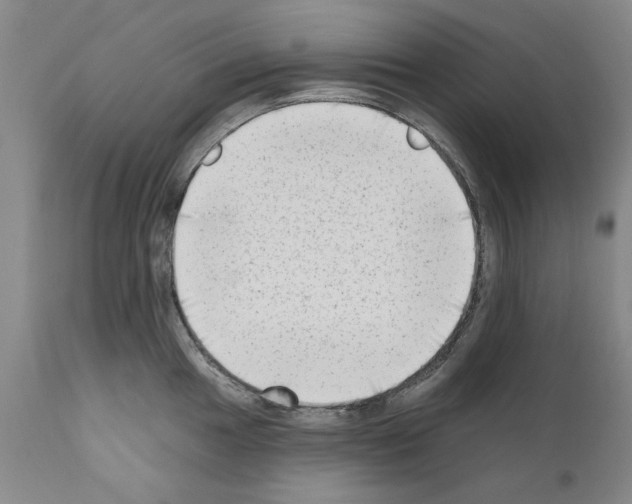 X0000111181049200908121107