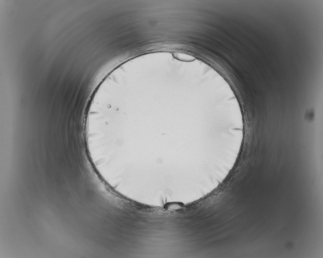 X0000111181050200908121107