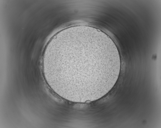 X0000111181051200908121107