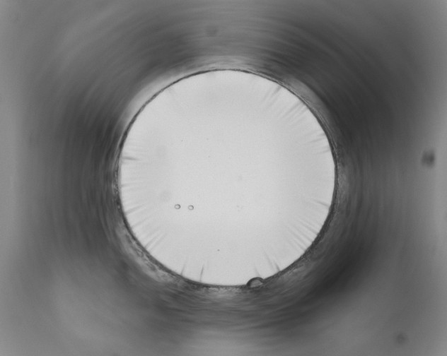 X0000111181052200908121107