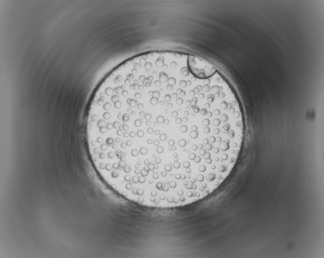 X0000111181053200908121107