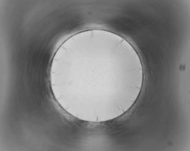 X0000111181056200908121107