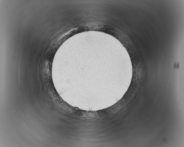 X0000111181058200908121106