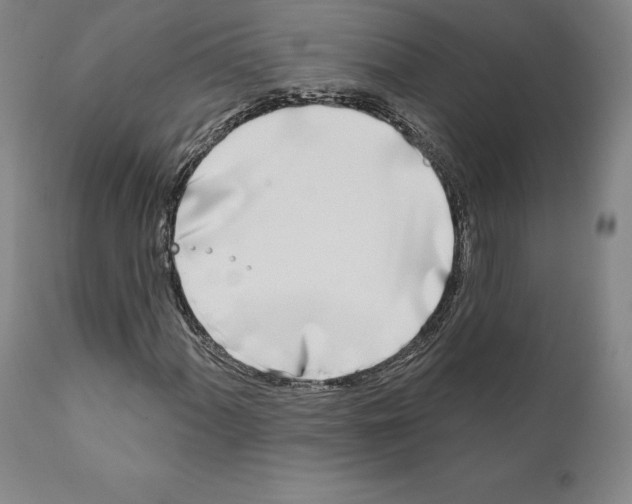 X0000111181060200908121106