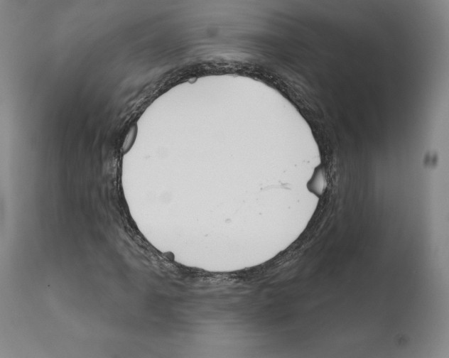 X0000111181061200908121106