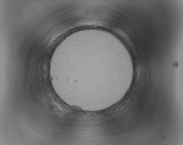 X0000111181064200908121106