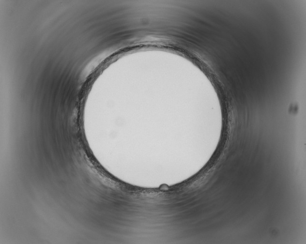 X0000111181066200908121106