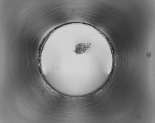 X0000111181068200908121106