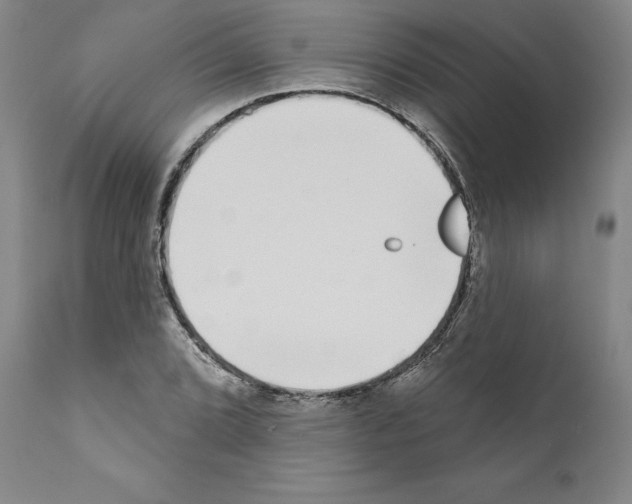 X0000111181072200908121106