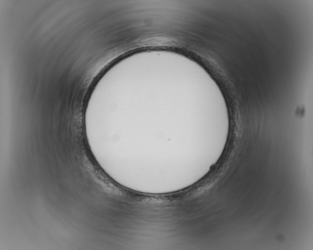 X0000111181073200908121106